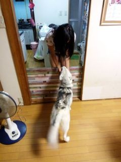 mini_IMG_20170812_204923.jpg