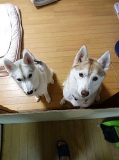 mini_IMG_20170824_064409.jpg