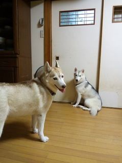 mini_IMG_20170908_193119.jpg