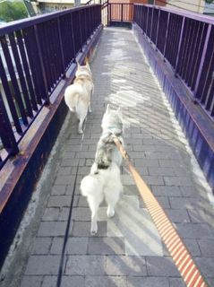 mini_IMG_20170911_071338.jpg