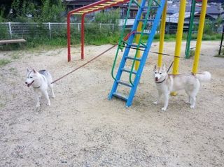 mini_IMG_20170916_064806.jpg