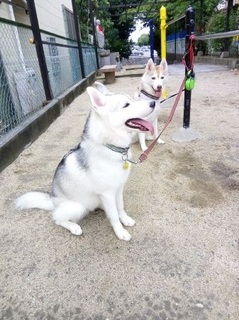 mini_IMG_20170917_074419.jpg