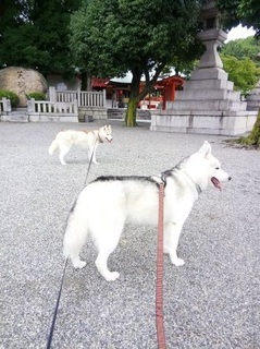 mini_IMG_20170917_075240.jpg