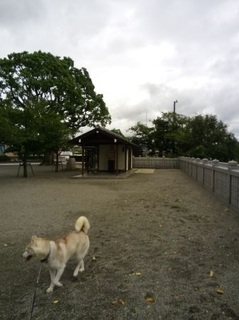 mini_IMG_20170917_075552.jpg