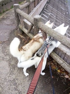 mini_IMG_20170917_081122.jpg