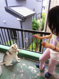 mini_IMG_20170917_153133.jpg