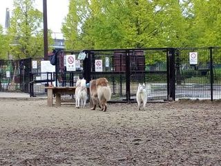 mini_IMG_20171103_063322.jpg