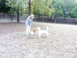 mini_IMG_20171103_063627.jpg