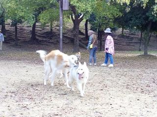 mini_IMG_20171103_065526.jpg