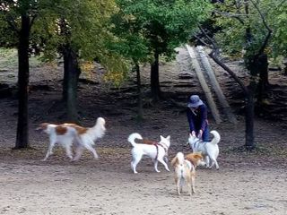 mini_IMG_20171103_065632_7CS.jpg