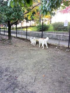 mini_IMG_20171103_071941.jpg