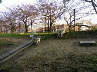 mini_IMG_20171103_072113.jpg