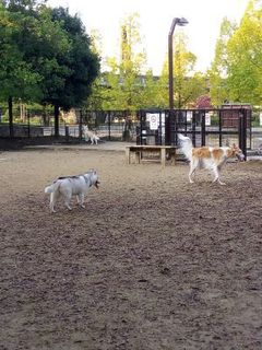 mini_IMG_20171103_072629.jpg