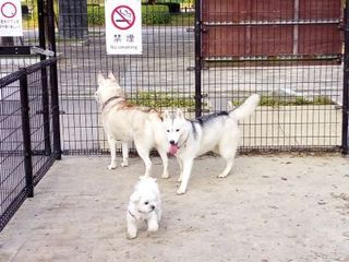 mini_IMG_20171103_073100.jpg