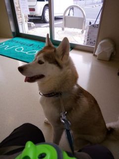 mini_IMG_20180104_102927.jpg