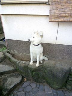 mini_IMG_20180119_090648.jpg