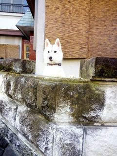 mini_IMG_20180119_090729.jpg