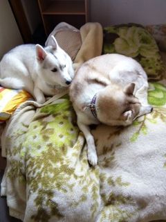 mini_IMG_20180119_105117.jpg