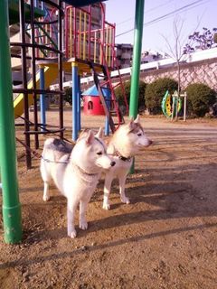 mini_IMG_20180120_082919.jpg