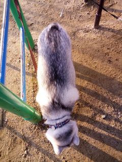 mini_IMG_20180120_083149.jpg