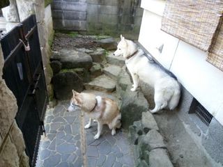 mini_IMG_20180120_085526.jpg
