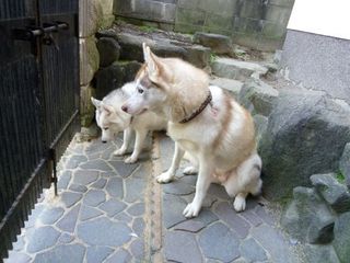 mini_IMG_20180120_085620.jpg