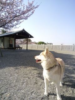 mini_IMG_20180331_083619.jpg