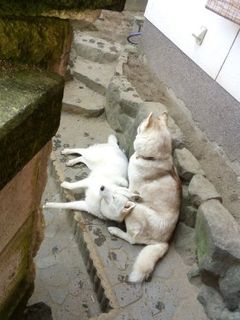 mini_IMG_20180331_090004.jpg
