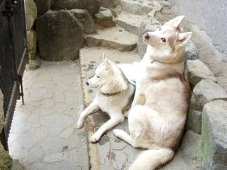 mini_IMG_20180331_090040.jpg