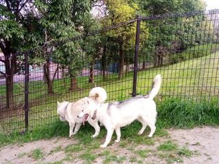 mini_IMG_20180401_072518.jpg
