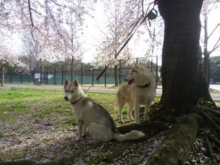 mini_IMG_20180401_080626.jpg
