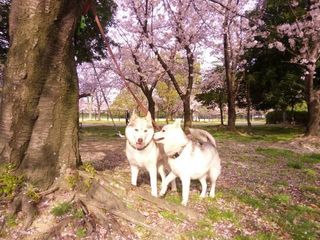 mini_IMG_20180401_080947.jpg
