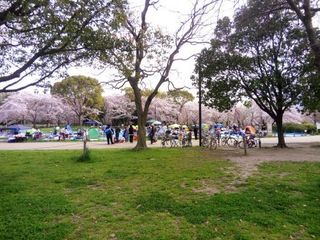 mini_IMG_20180401_082114.jpg