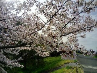 mini_IMG_20180401_083546.jpg