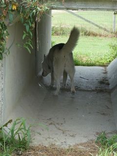 mini_P1000134.jpg