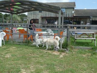 mini_P1000136.jpg