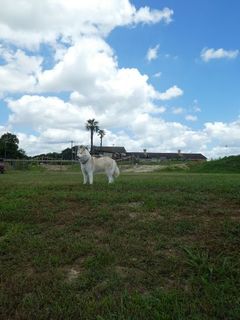 mini_P1000182.jpg