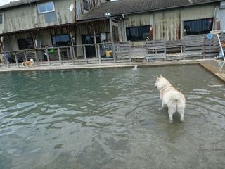 mini_P1000192.jpg
