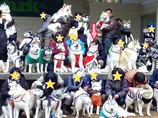 zenntaikakudai.jpg