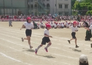 2017.5.28.2.jpg